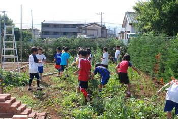 DSC_0318.JPGのサムネール画像