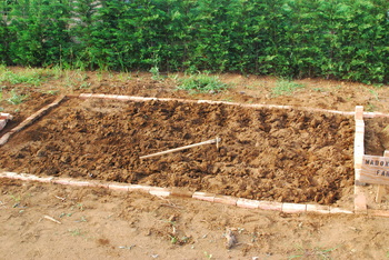 DSC_0344.JPGのサムネール画像のサムネール画像