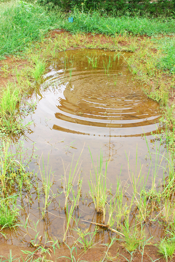 ike.jpgのサムネール画像のサムネール画像